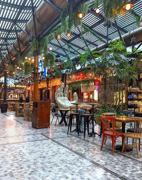 תמונה של שרונה מרקט - למטייל בישראל (טיולי)